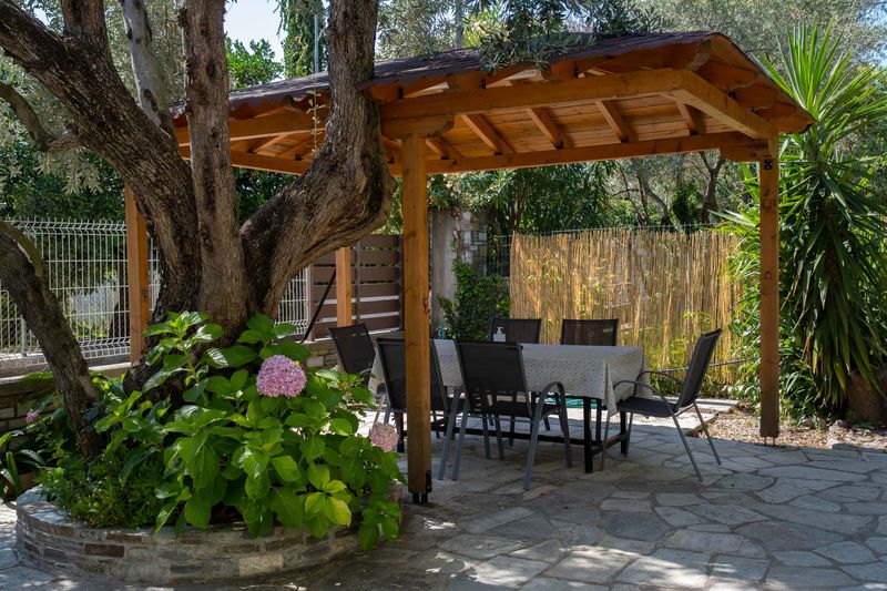 Σκιά από ελιά στην αυλή του ξενώνα